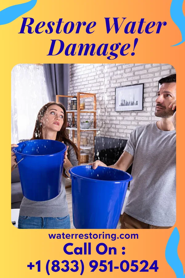 water restoration Platinum Water Cleanup Professionals Mockingbird Valley