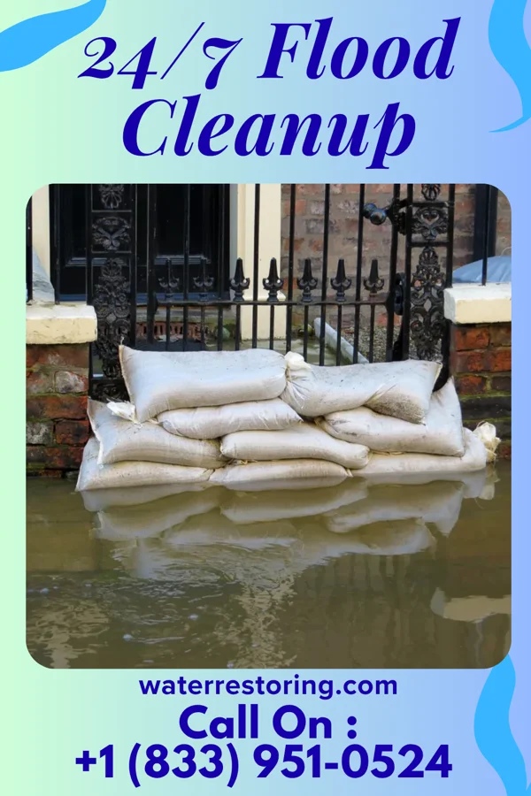 24/7 Flood Cleanup in Mockingbird Valley, KY