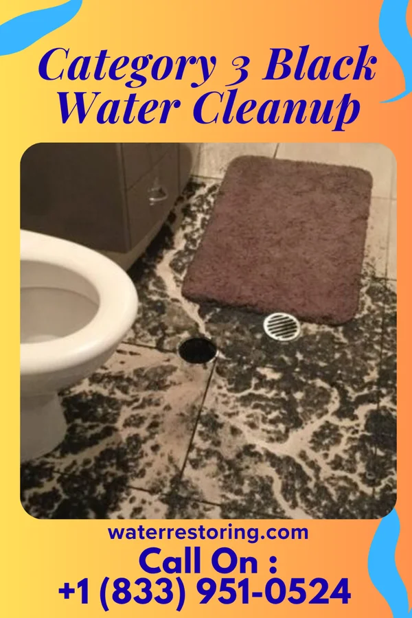Category 3 Black Water Cleanup in Mockingbird Valley, KY