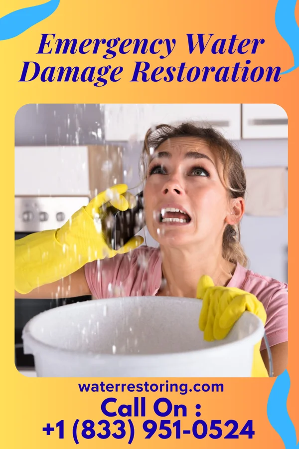 Emergency Water Damage Restoration in Mockingbird Valley, KY