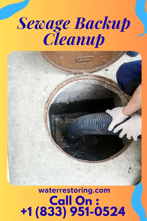 Sewage Backup Cleanup in Mockingbird Valley, KY