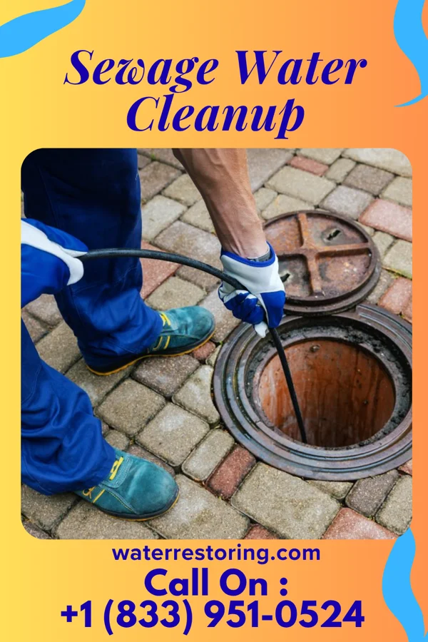 Sewage Water Cleanup in Mockingbird Valley, KY